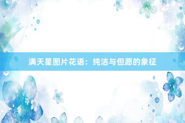 满天星图片花语：纯洁与但愿的象征