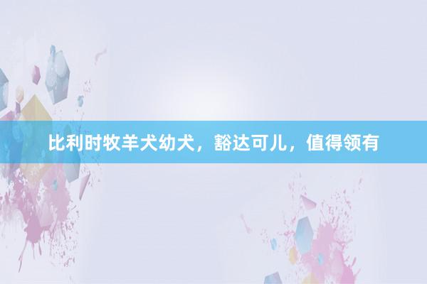 比利时牧羊犬幼犬，豁达可儿，值得领有